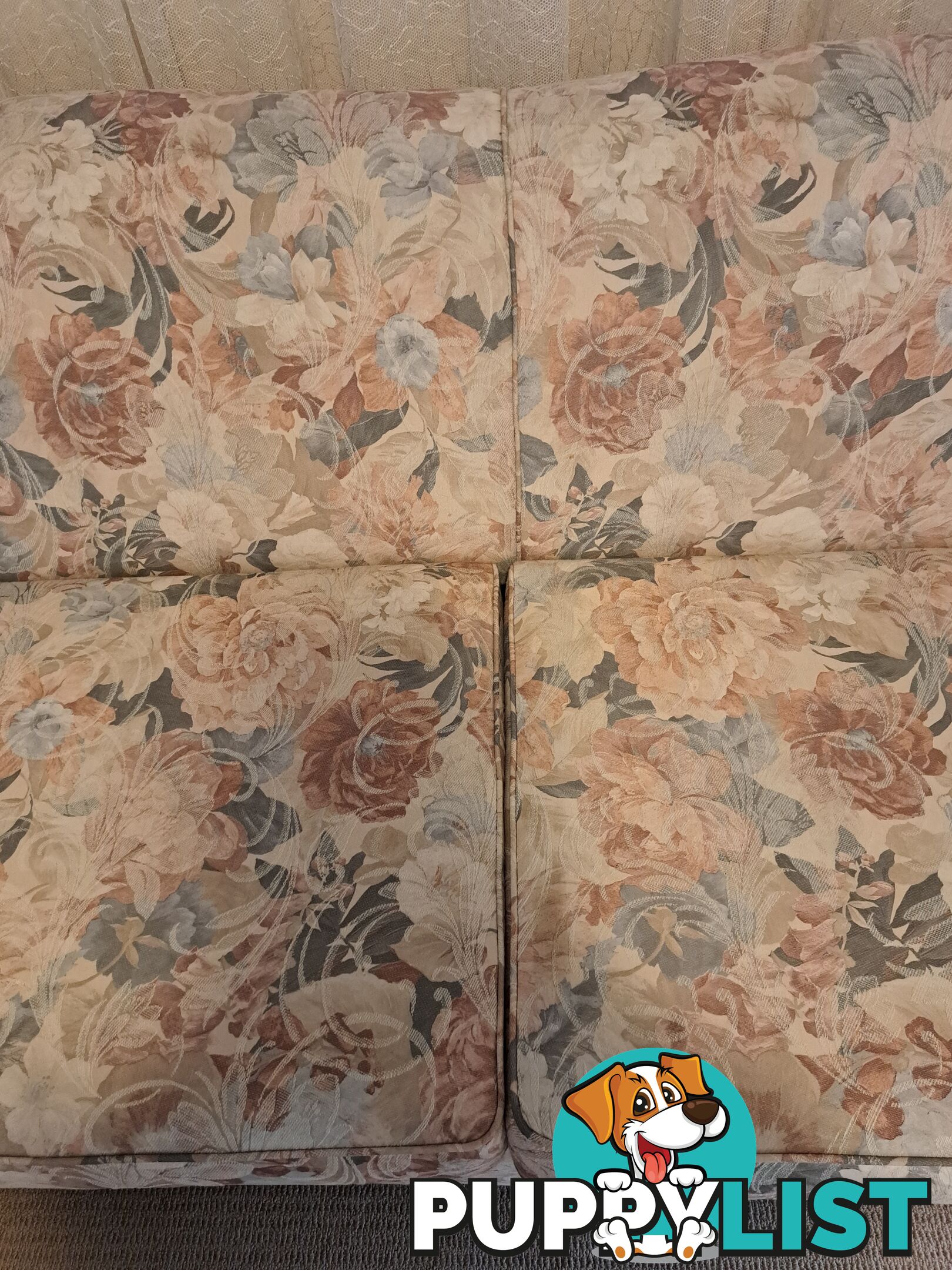 Sofa Bed
