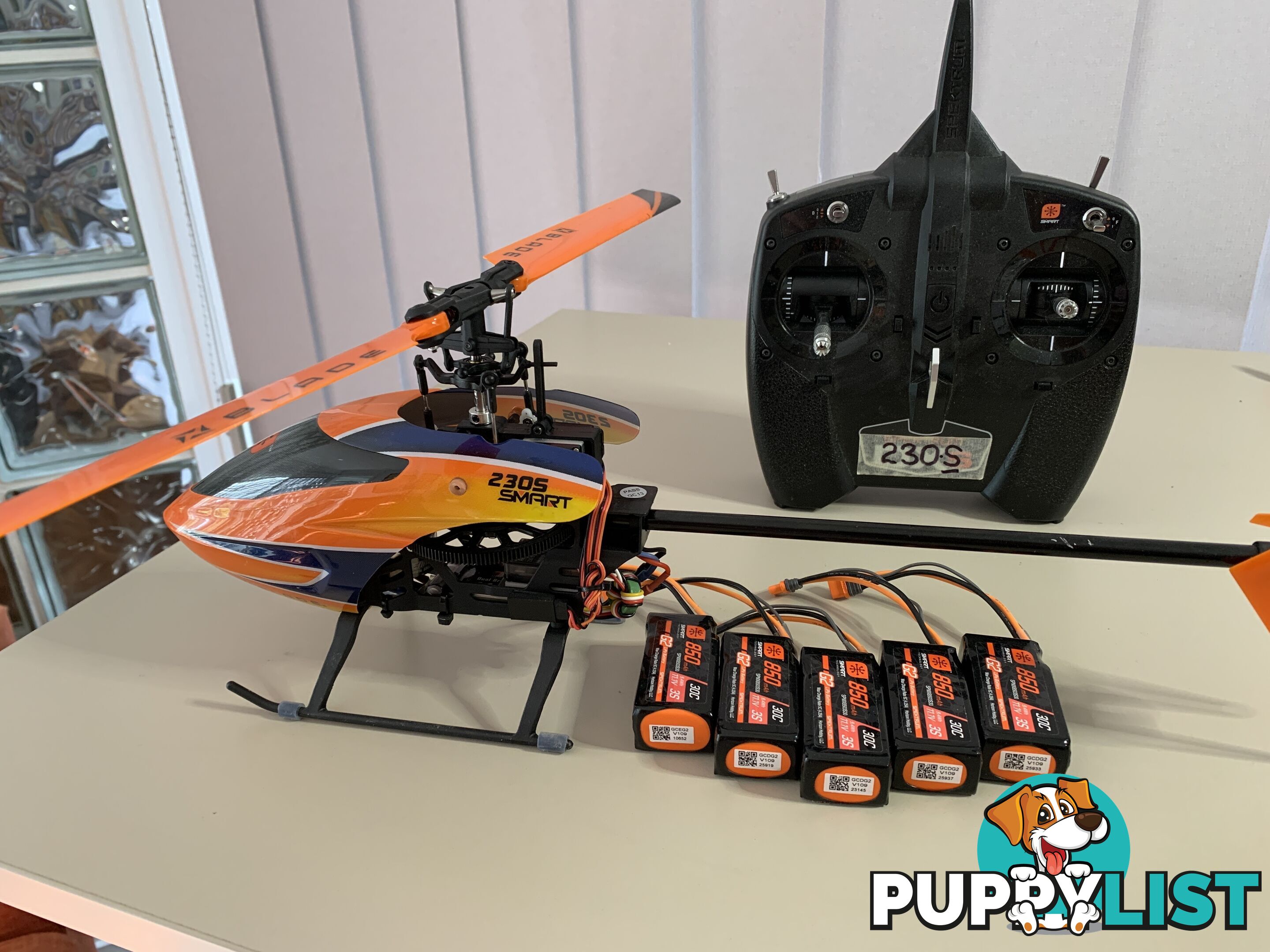 RC Electric Model helicopters