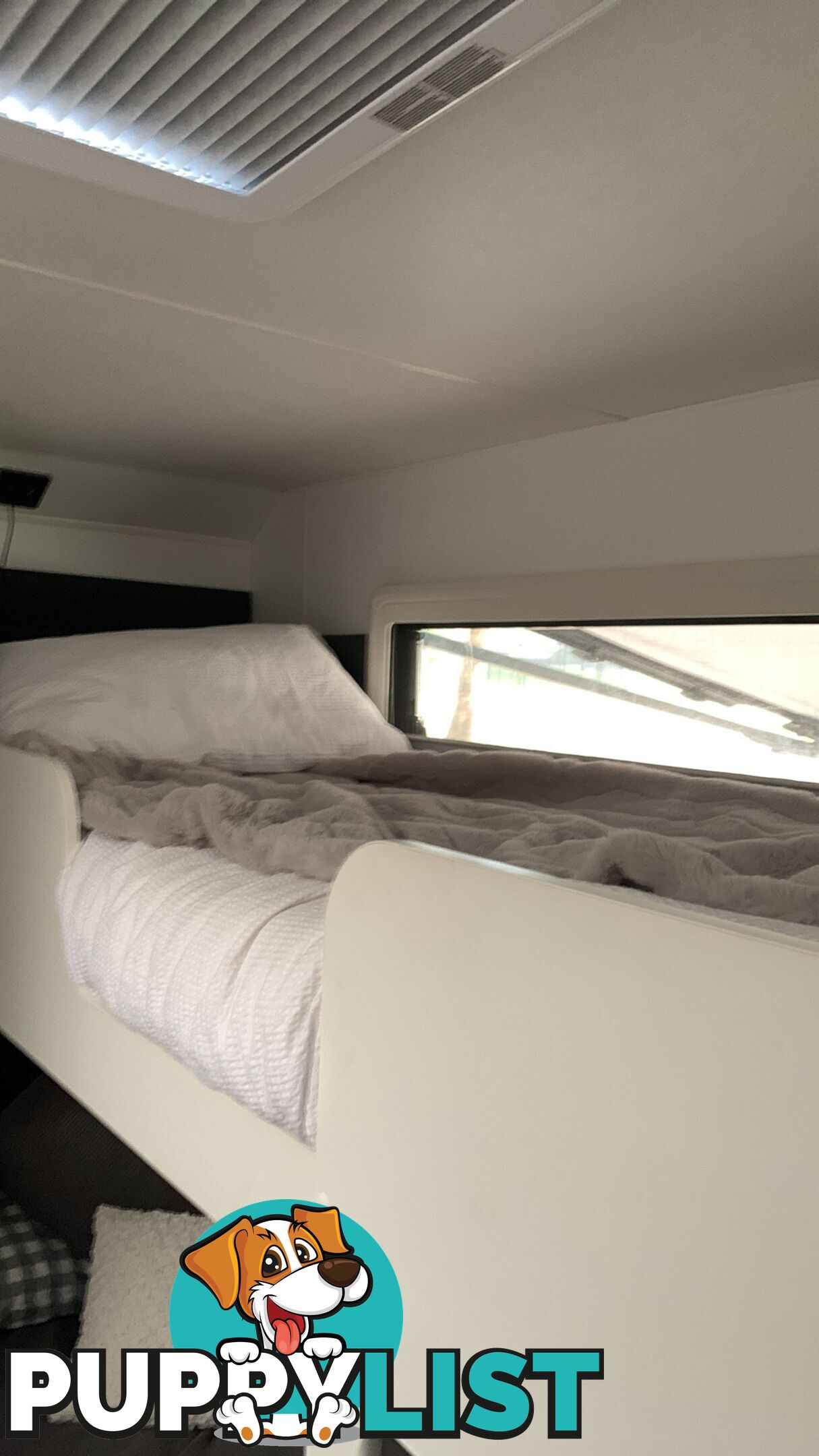 2022 JB Caravans SCORPION STING