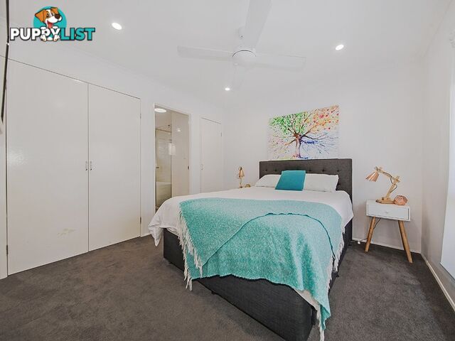 2/159 Watson Street CAMP HILL QLD 4152