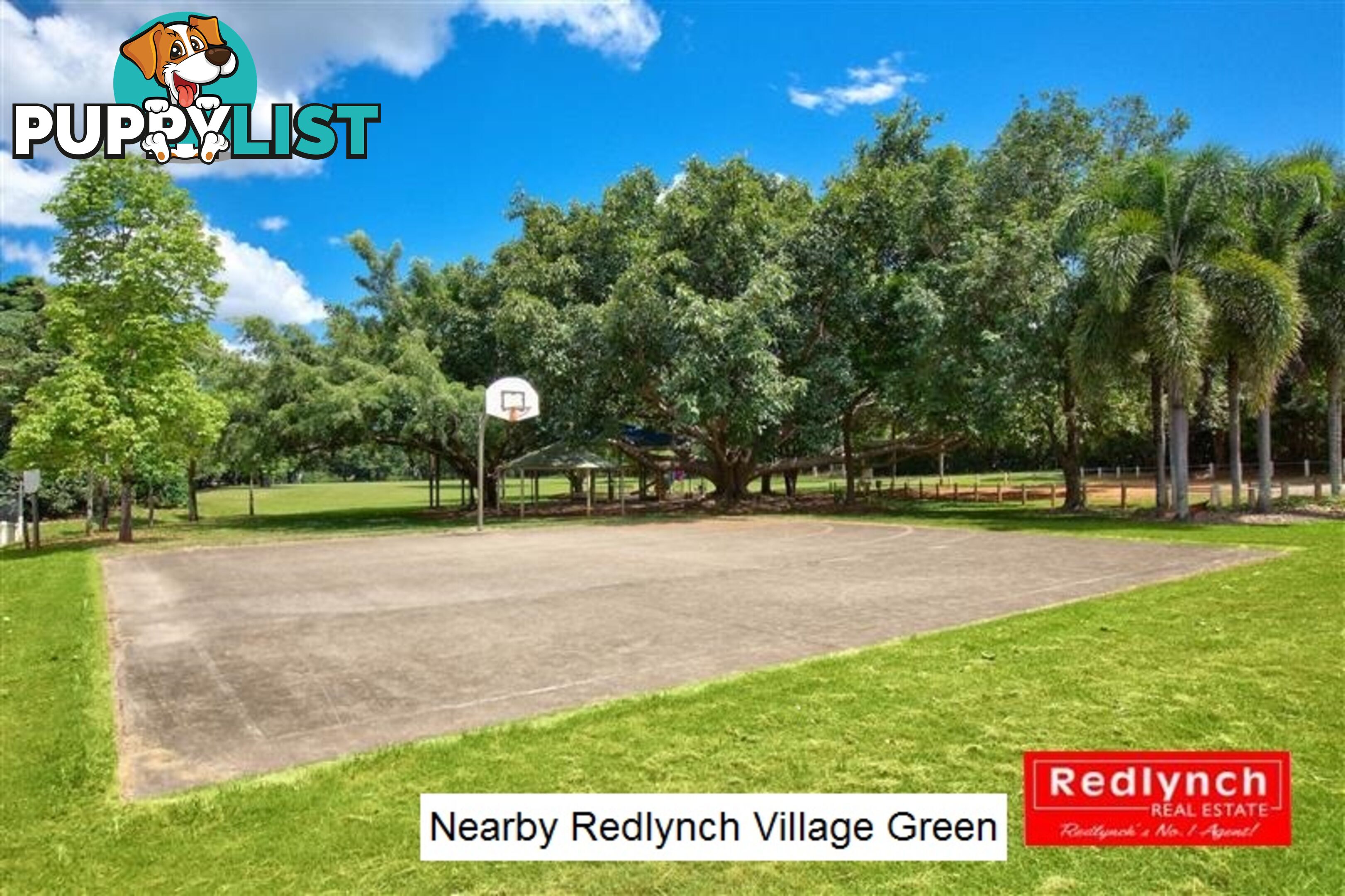 15 Ethel Close REDLYNCH QLD 4870