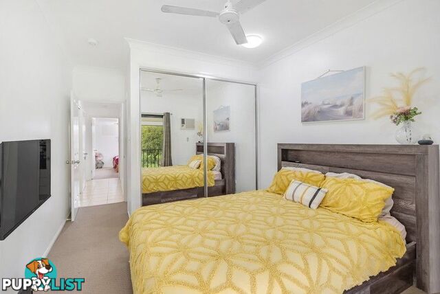 8 6 Short Street REDLYNCH QLD 4870