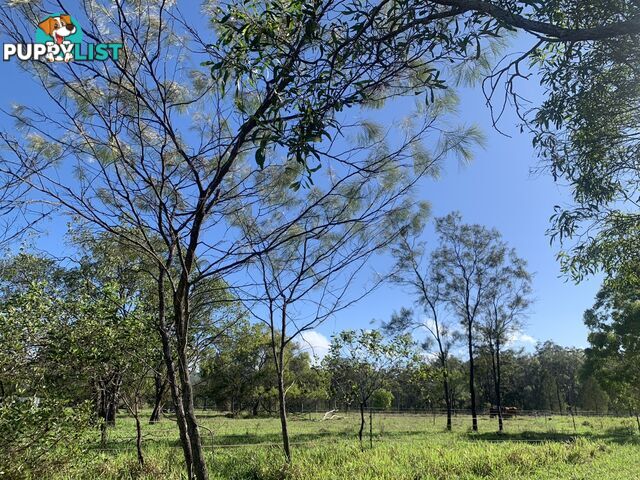 157 KOAH ROAD KOAH QLD 4881