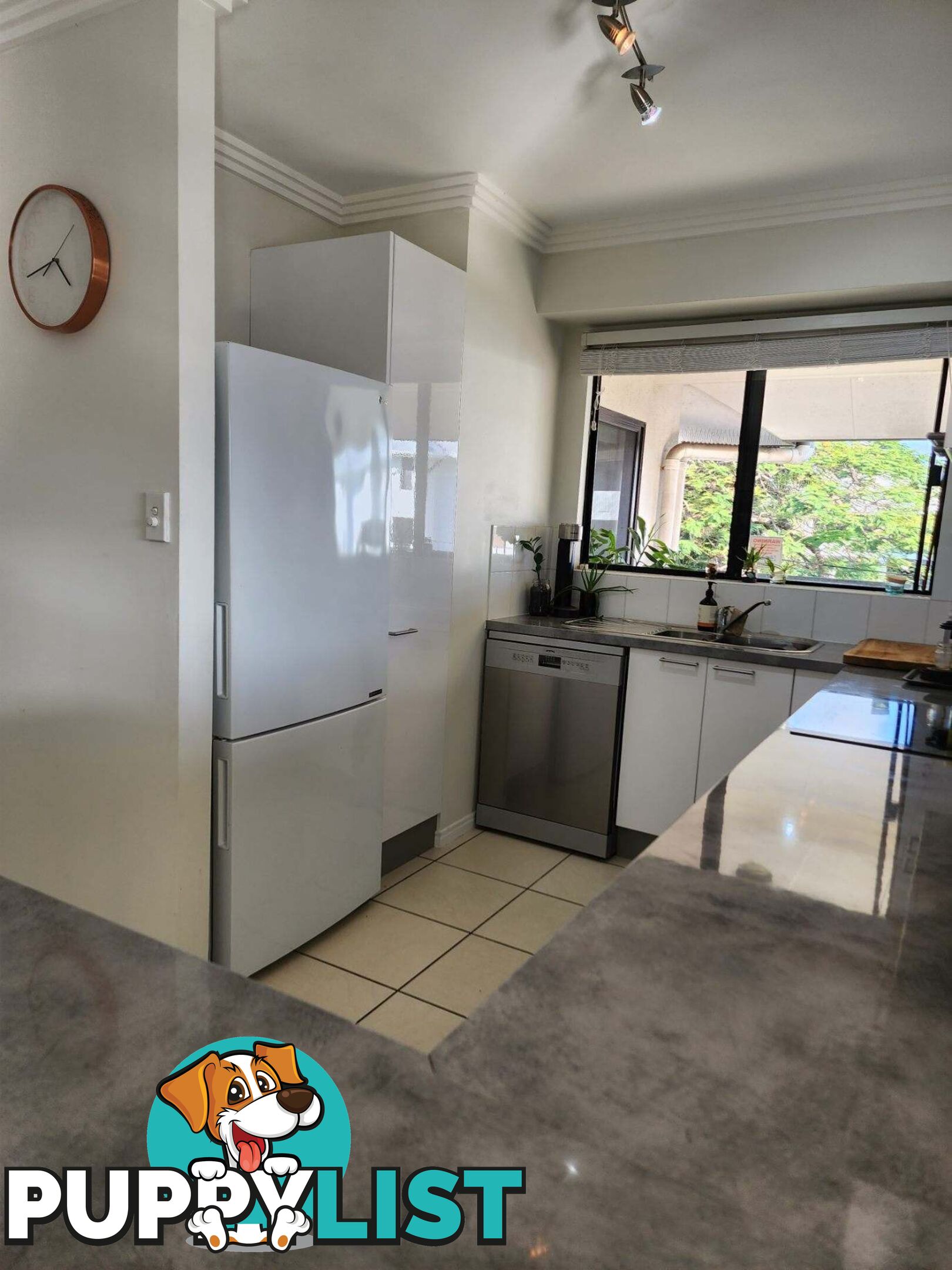 20 19 Upward Street PARRAMATTA PARK QLD 4870