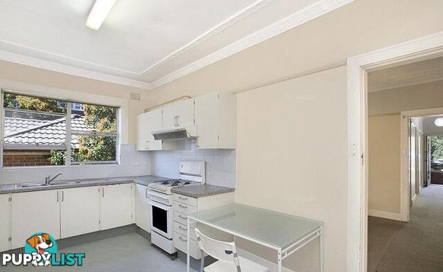 44 Willis Street KINGSFORD NSW 2032