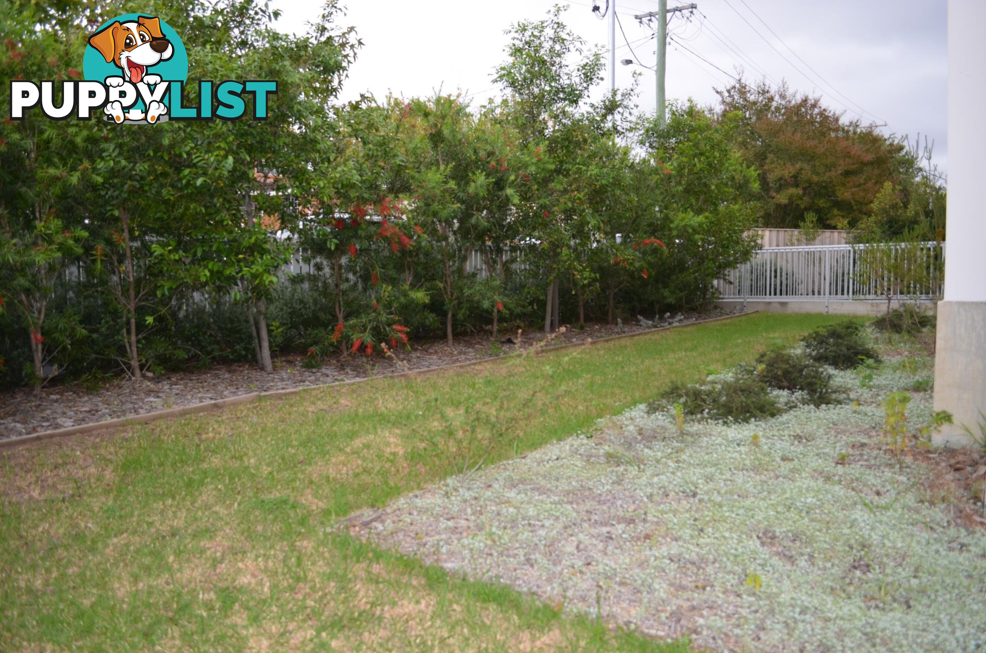 6 Gwynne Street GWYNNEVILLE NSW 2500