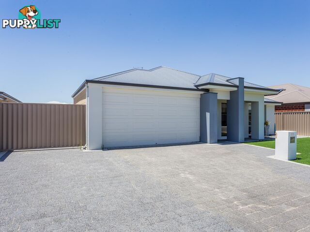 23 Icelandic Meander BALDIVIS WA 6171