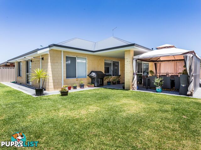 23 Icelandic Meander BALDIVIS WA 6171