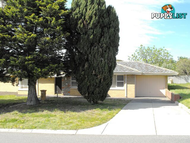 19 Ives Street HAMILTON HILL WA 6163