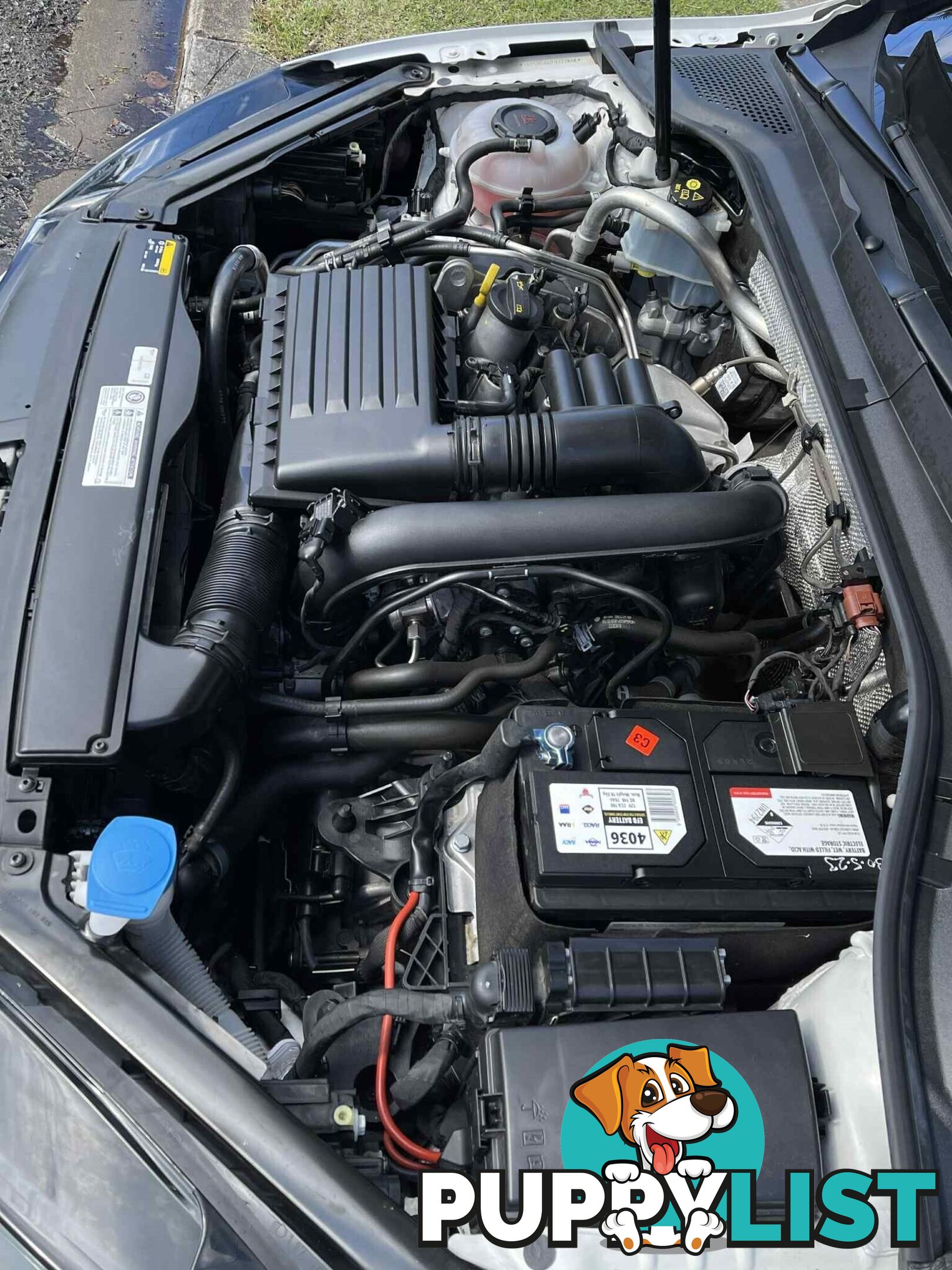 2019 Volkswagen Golf 110 TSI TRENDLINE 7 SP AUTO Hatchback Automatic