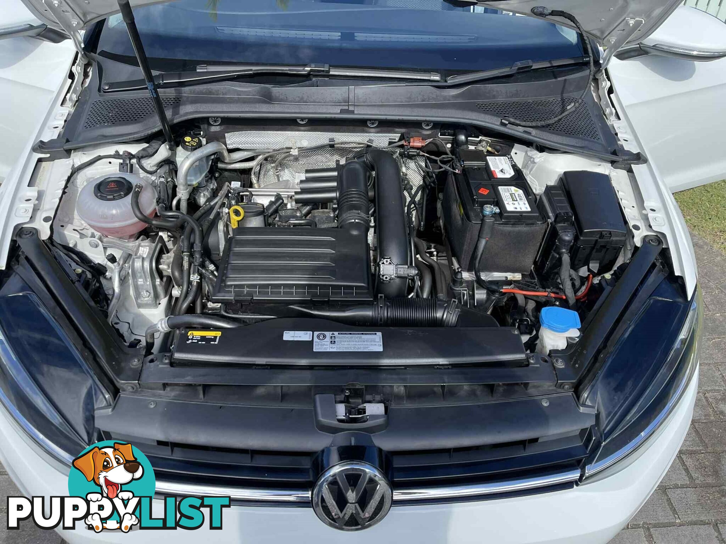 2019 Volkswagen Golf 110 TSI TRENDLINE 7 SP AUTO Hatchback Automatic