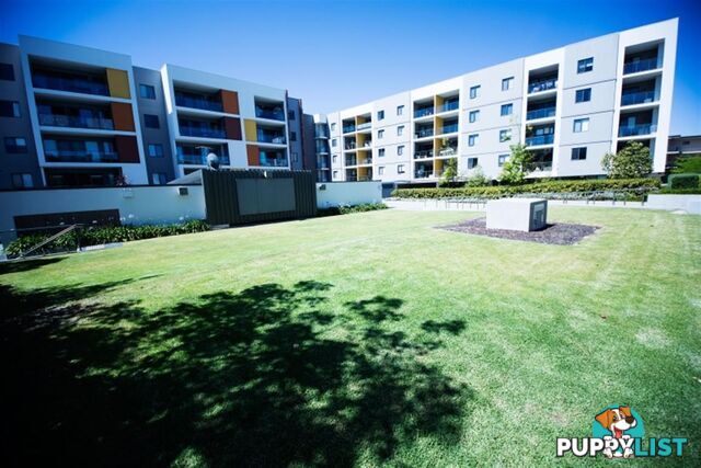 Apartment 58/16 Midgegooroo Avenue COCKBURN CENTRAL WA 6164