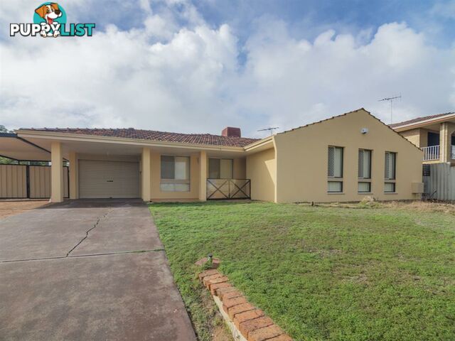 6 Steinbeck Place SPEARWOOD WA 6163