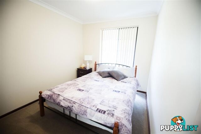 3 Crake Place YANGEBUP WA 6164