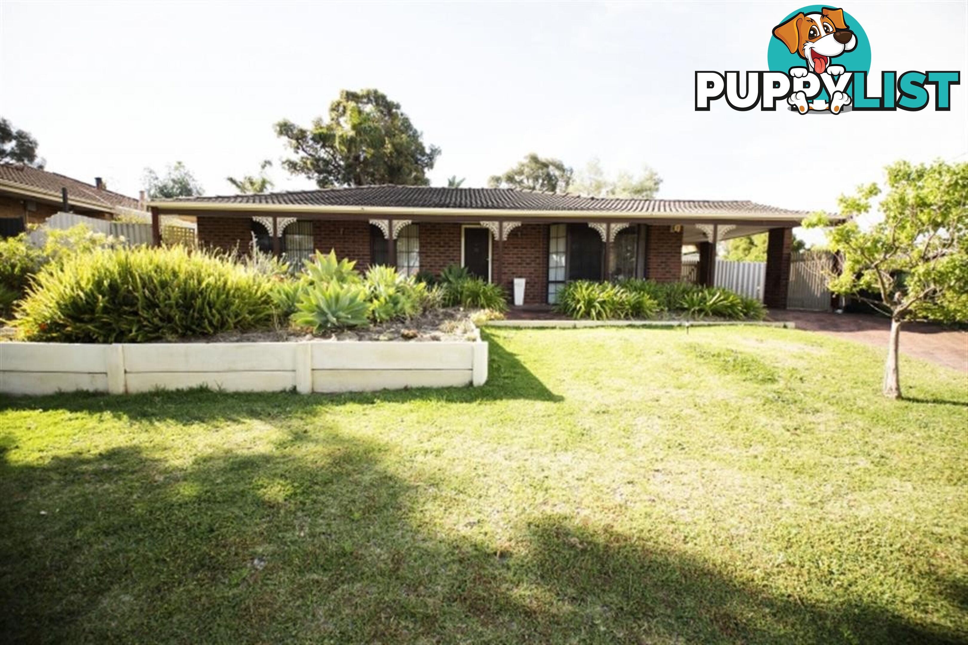 3 Crake Place YANGEBUP WA 6164