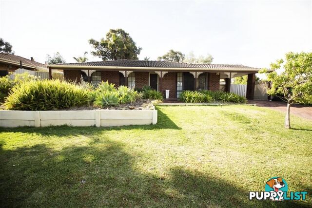 3 Crake Place YANGEBUP WA 6164