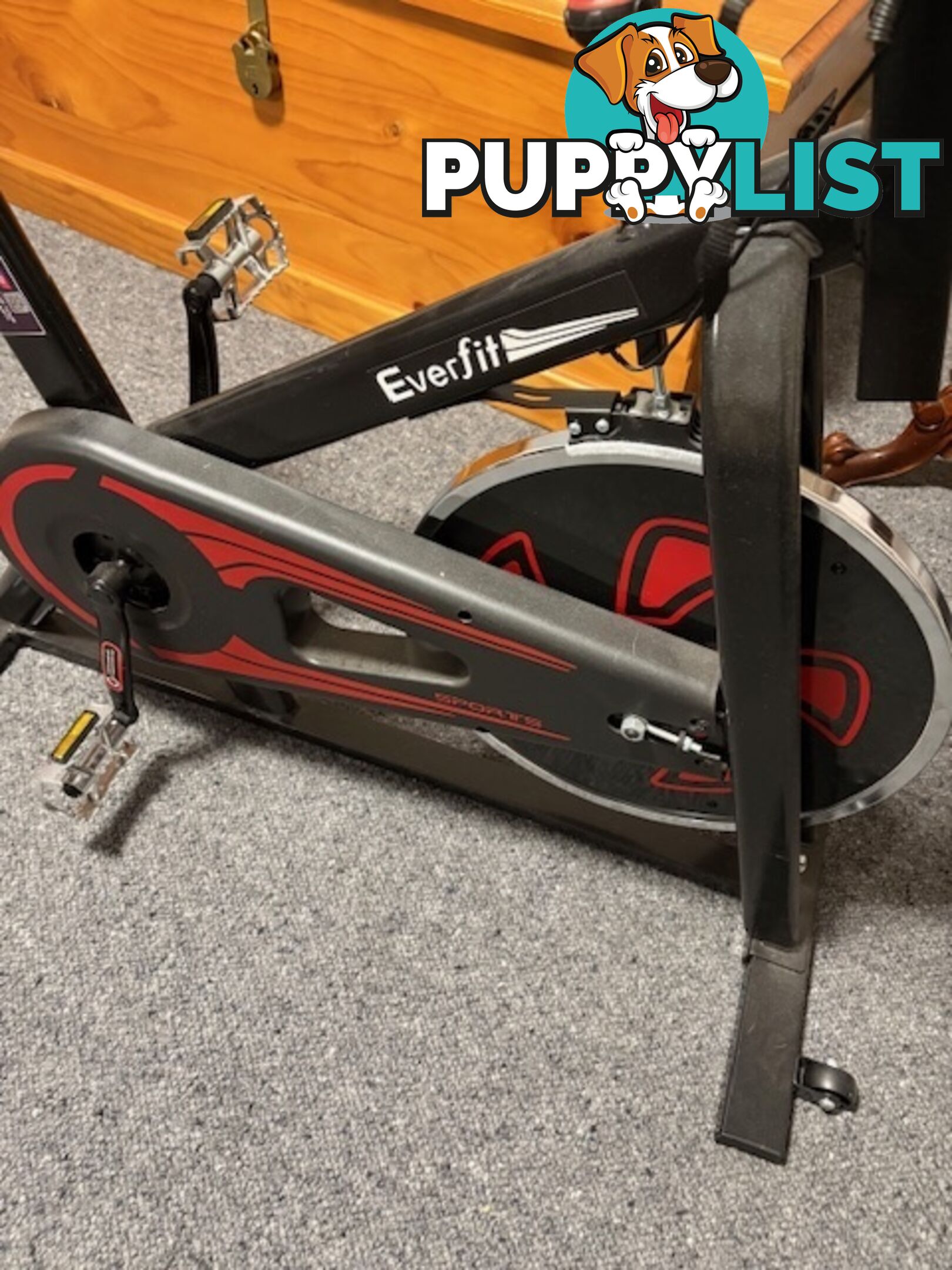 Everfit Exercise Bike