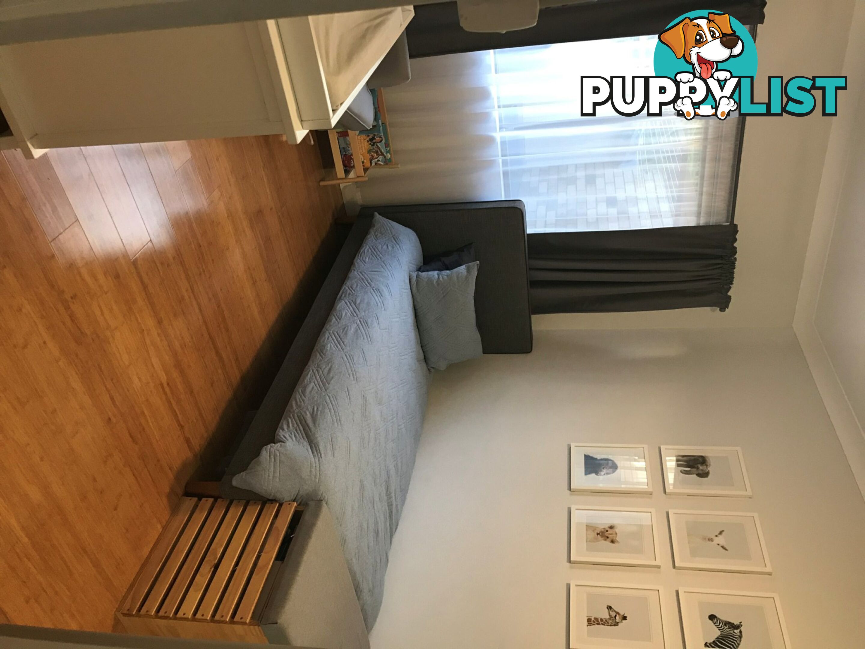 6/47-49 Mimosa Street BEXLEY NSW 2207