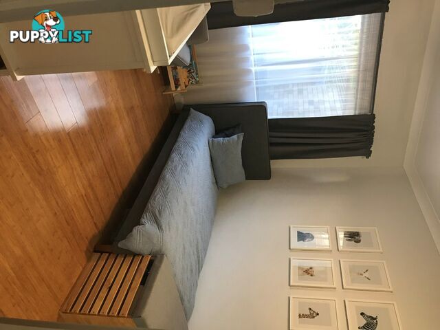 6/47-49 Mimosa Street BEXLEY NSW 2207