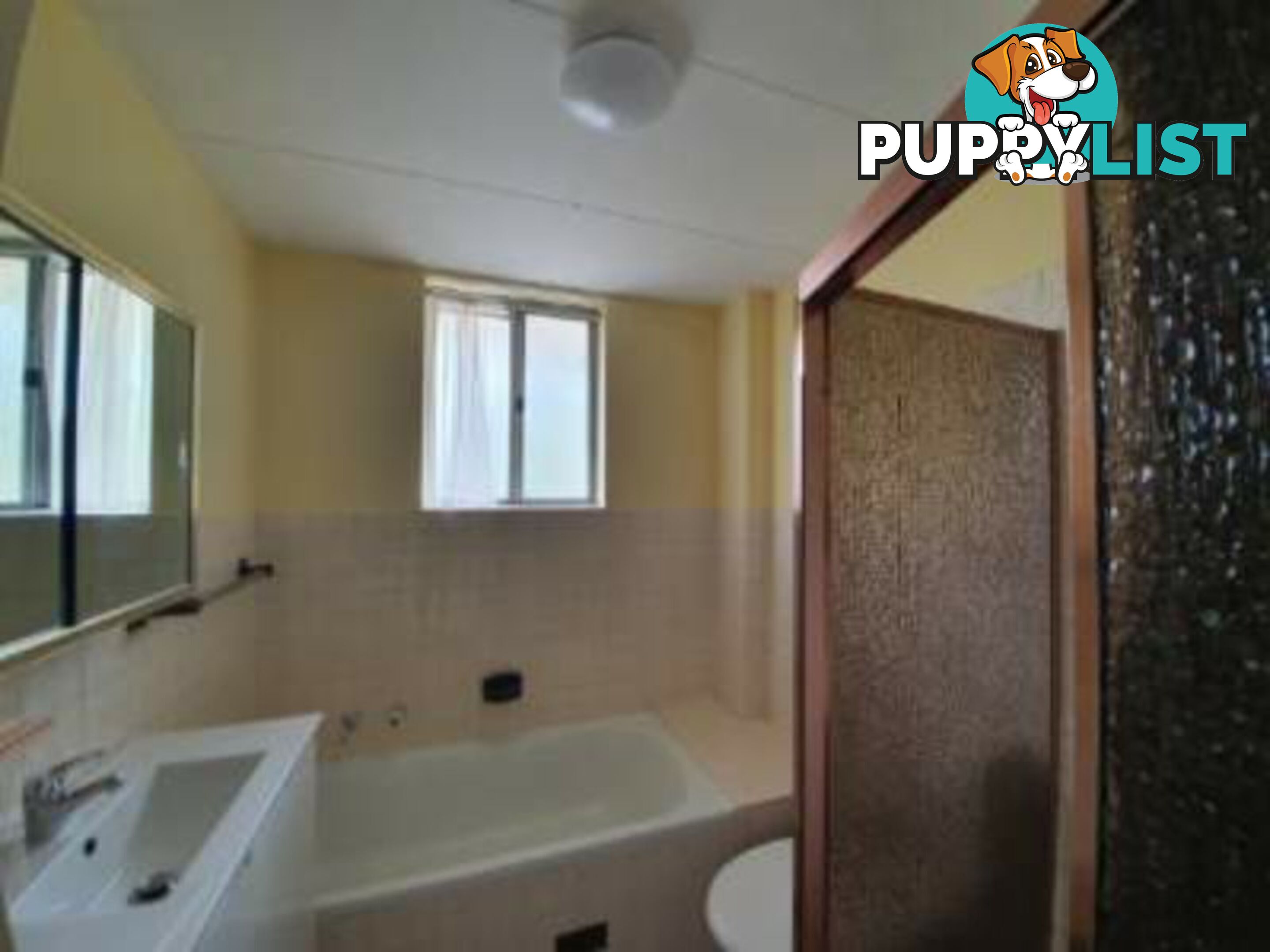 2/11 Paine Street KOGARAH NSW 2217