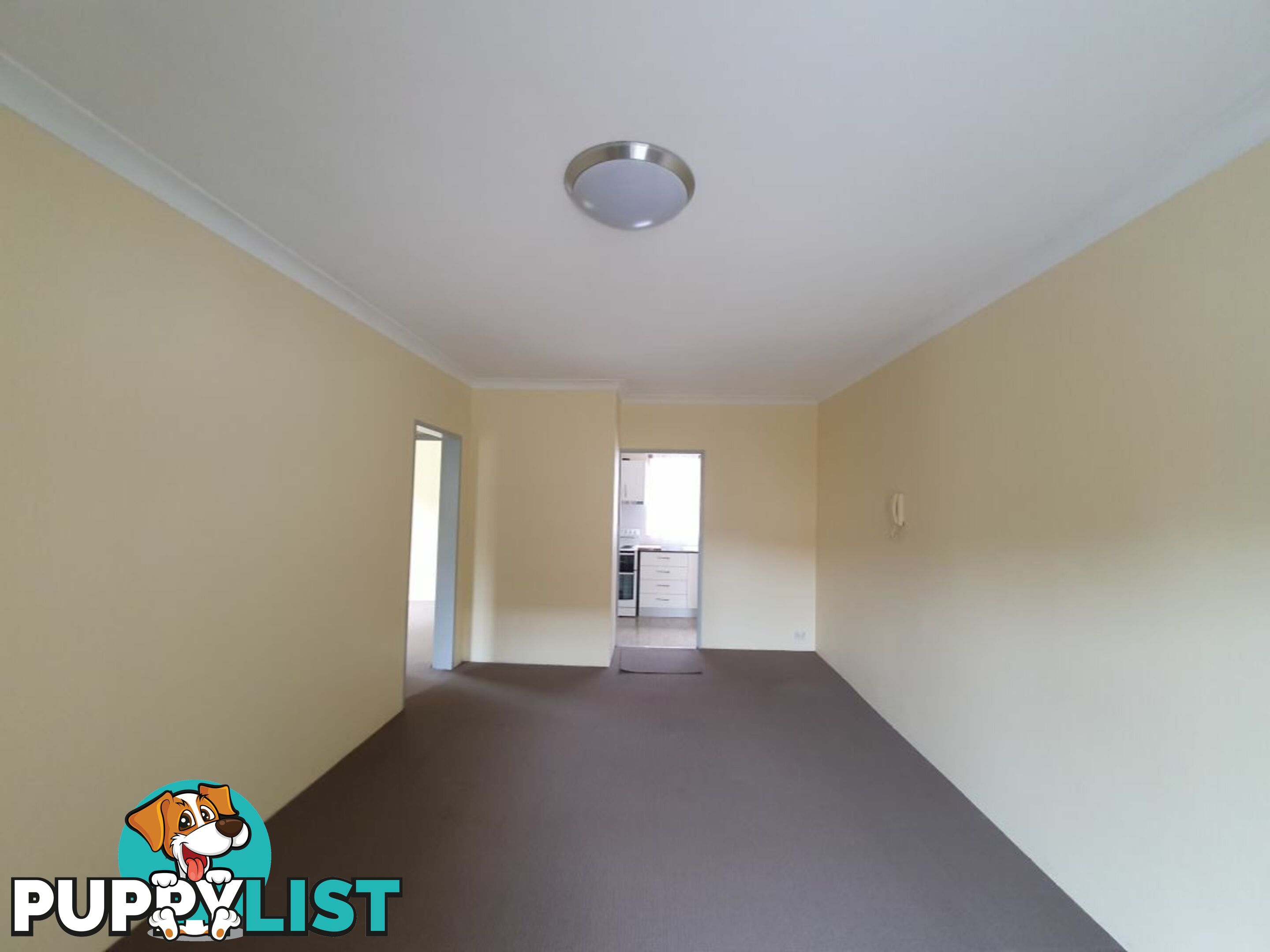 2/11 Paine Street KOGARAH NSW 2217
