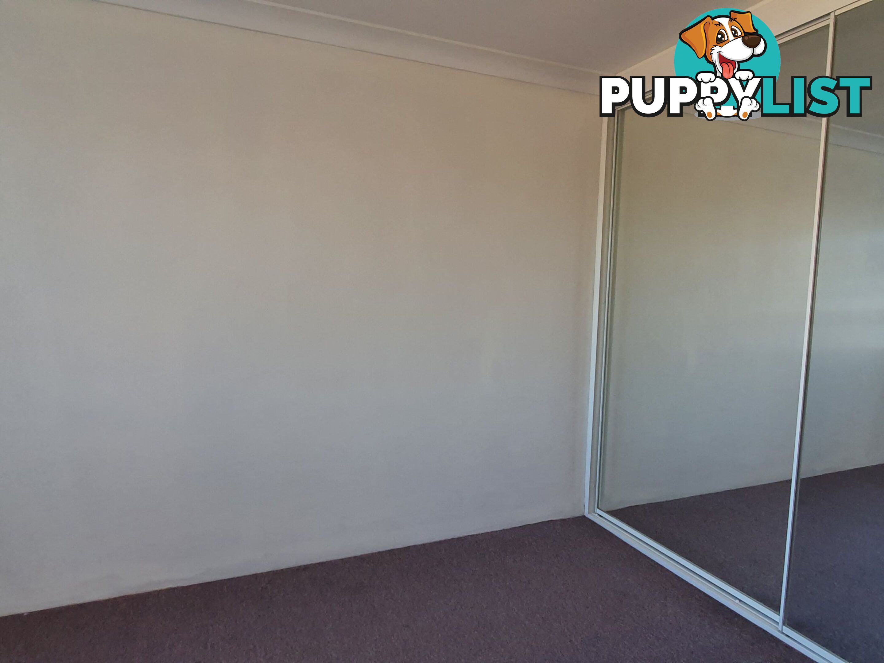 2/67 Yangoora Road BELMORE NSW 2192