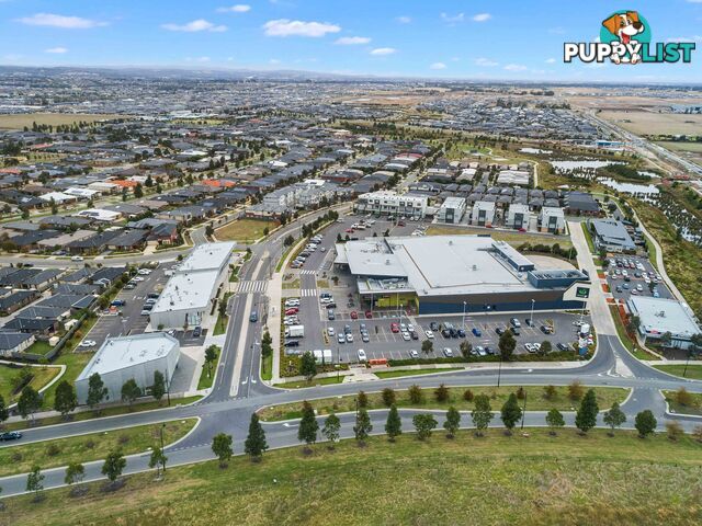 The Avenue Vet 2-4 Maksi Way CRANBOURNE NORTH VIC 3977