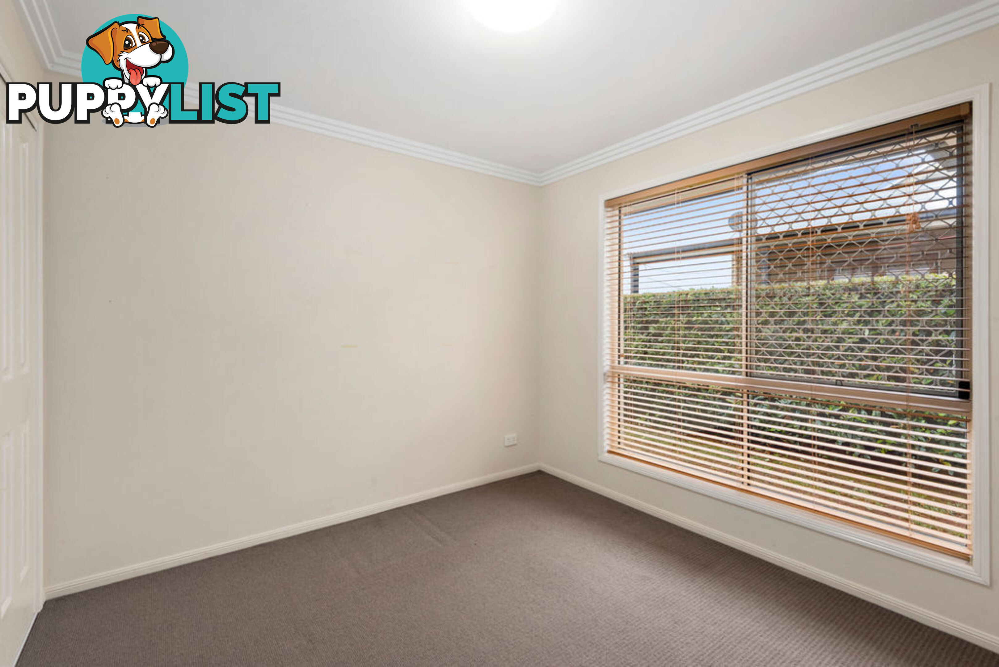 1 & 2/10a Healy Street SOUTH TOOWOOMBA QLD 4350