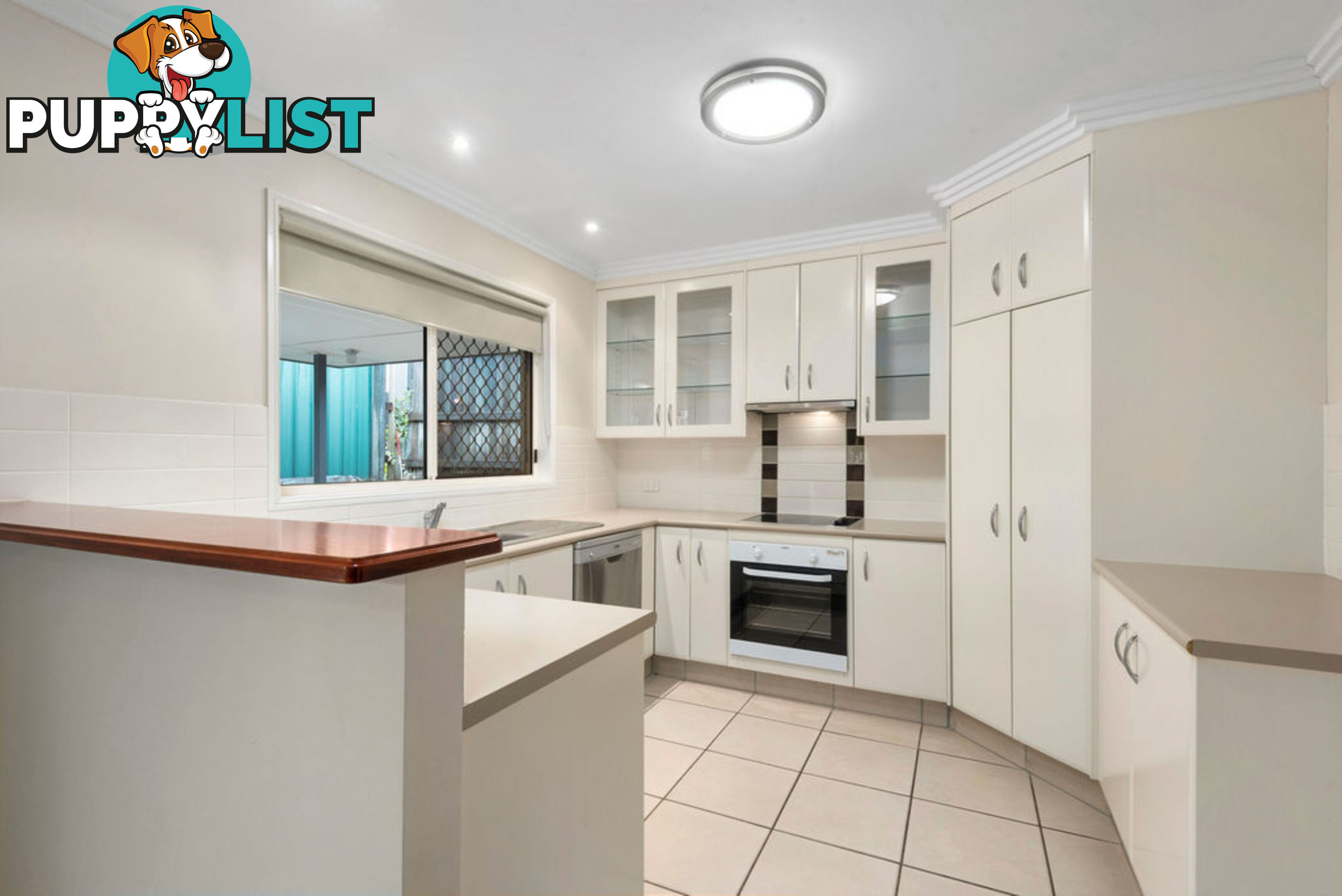 1 & 2/10a Healy Street SOUTH TOOWOOMBA QLD 4350