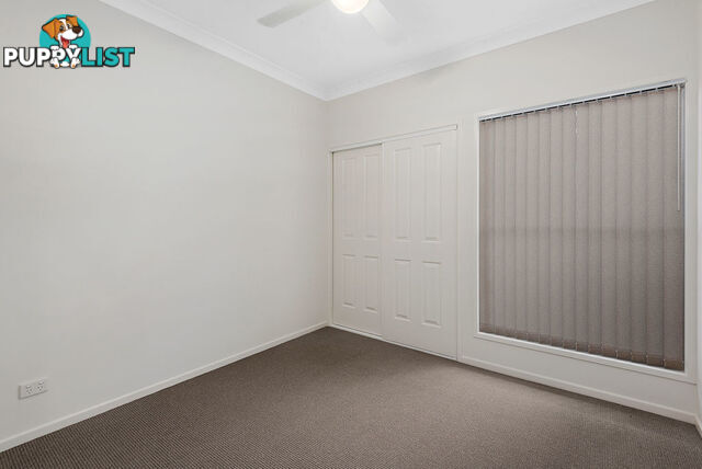 1 & 2/11 Helen Street NEWTOWN QLD 4350