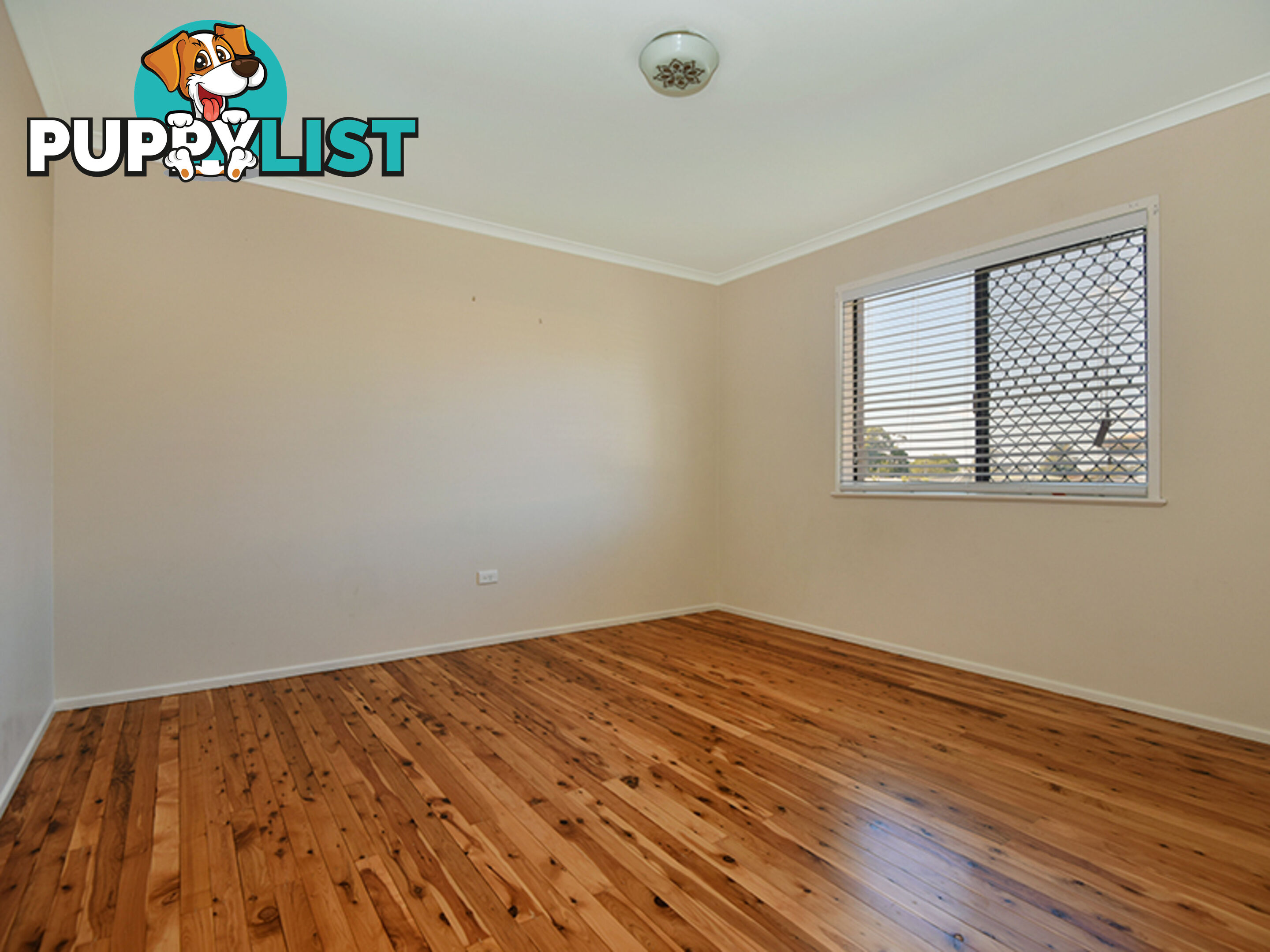 19 Canberra Street HARRISTOWN QLD 4350