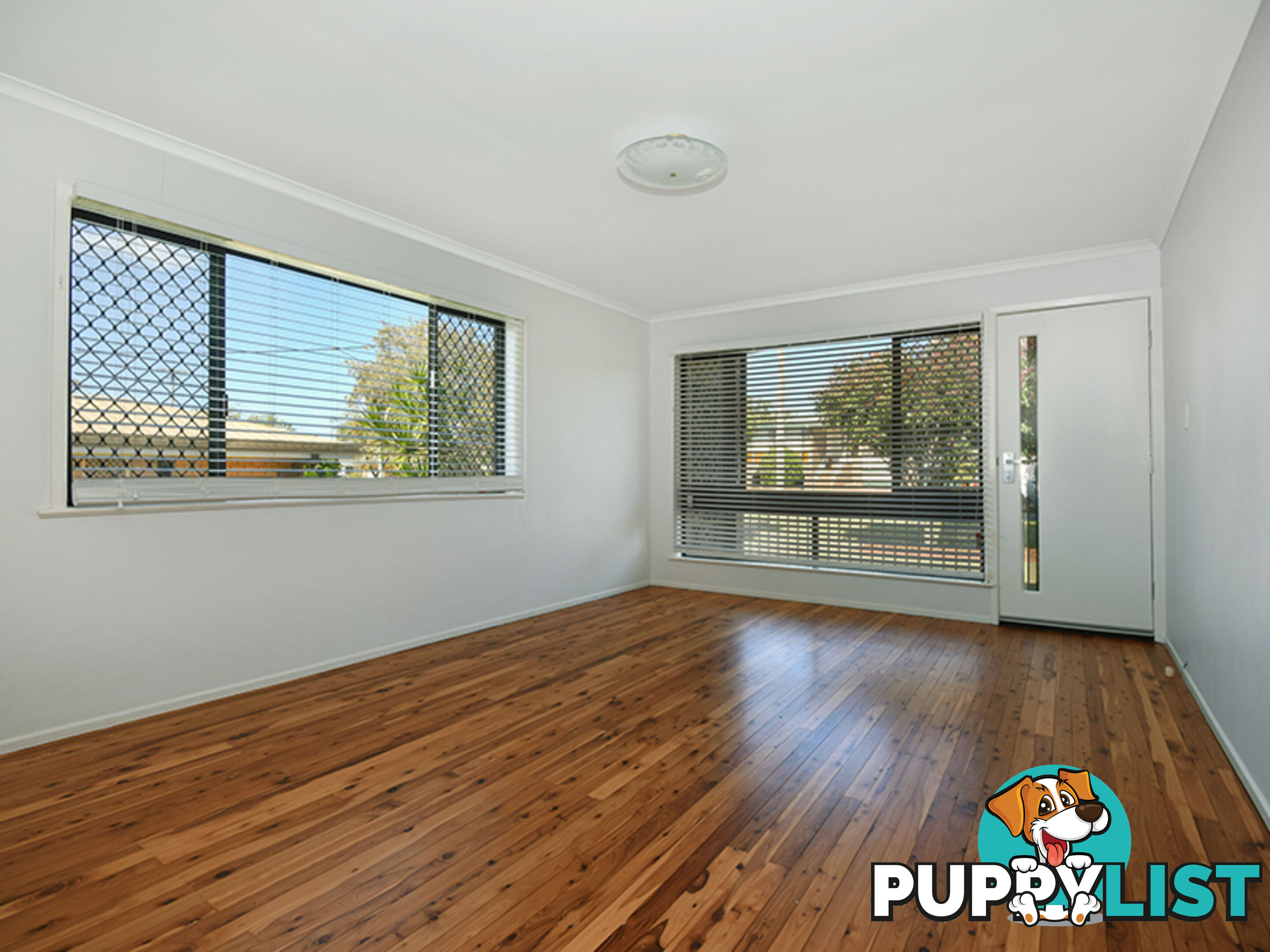 19 Canberra Street HARRISTOWN QLD 4350
