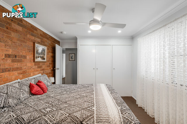 59 Noll Street KEARNEYS SPRING QLD 4350