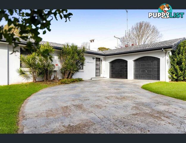 34 Aberdeen Street RANGEVILLE QLD 4350