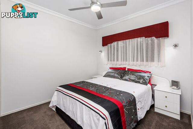 20 Munro Street HARLAXTON QLD 4350