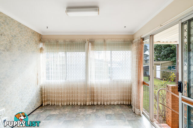 19 Sardon Street CENTENARY HEIGHTS QLD 4350