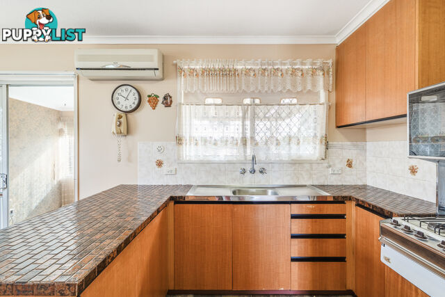 19 Sardon Street CENTENARY HEIGHTS QLD 4350