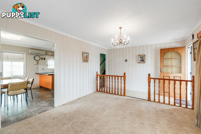 19 Sardon Street CENTENARY HEIGHTS QLD 4350