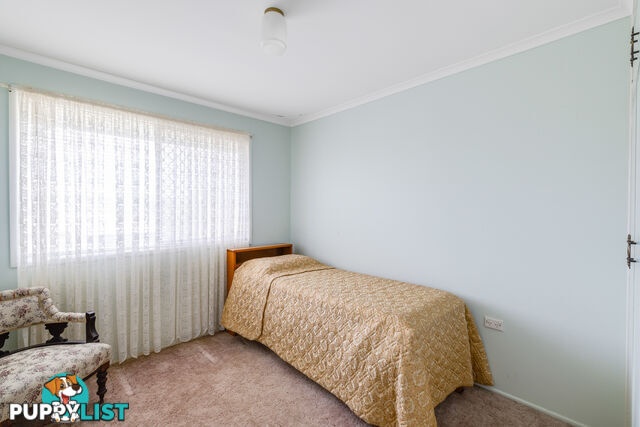 19 Sardon Street CENTENARY HEIGHTS QLD 4350