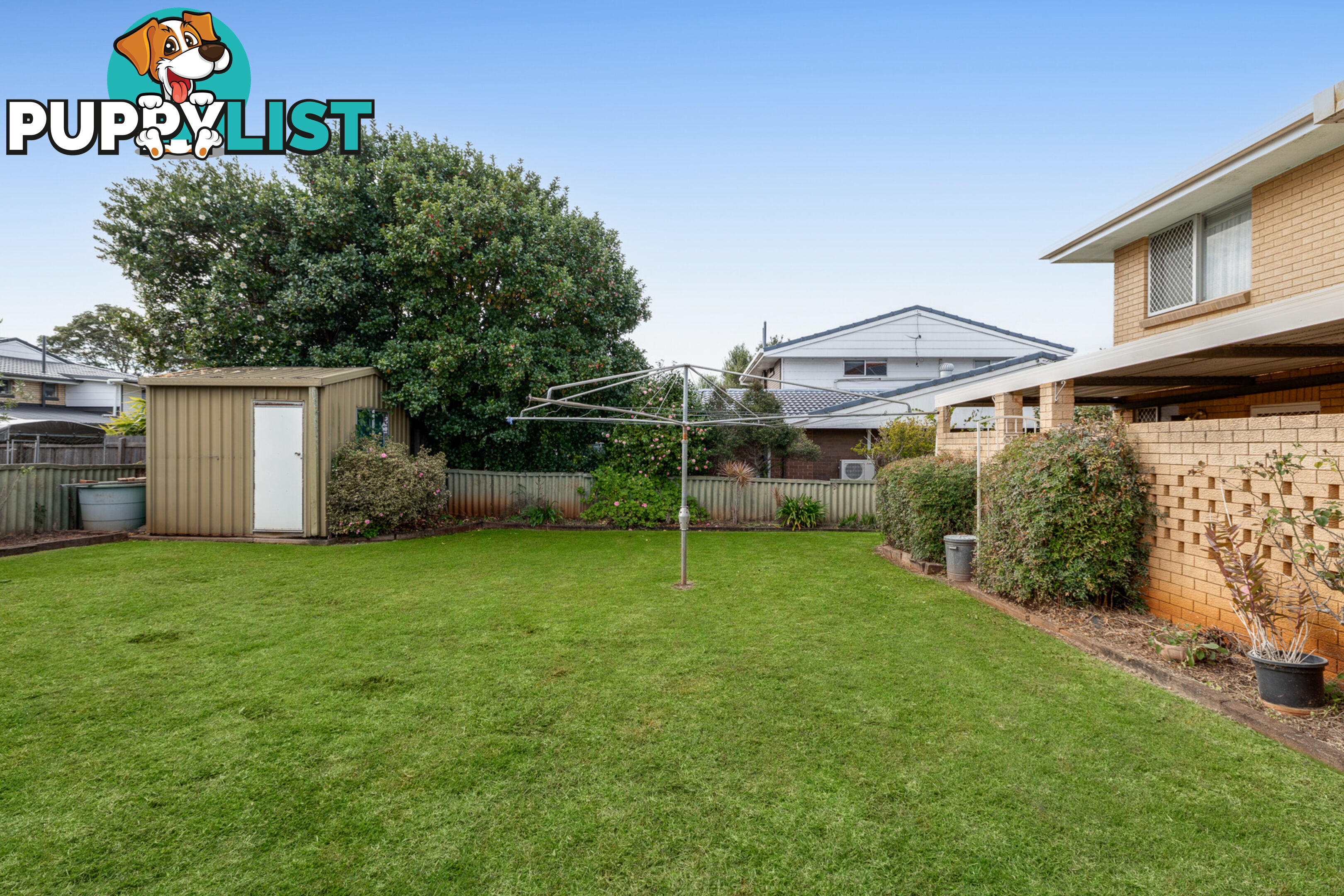19 Sardon Street CENTENARY HEIGHTS QLD 4350