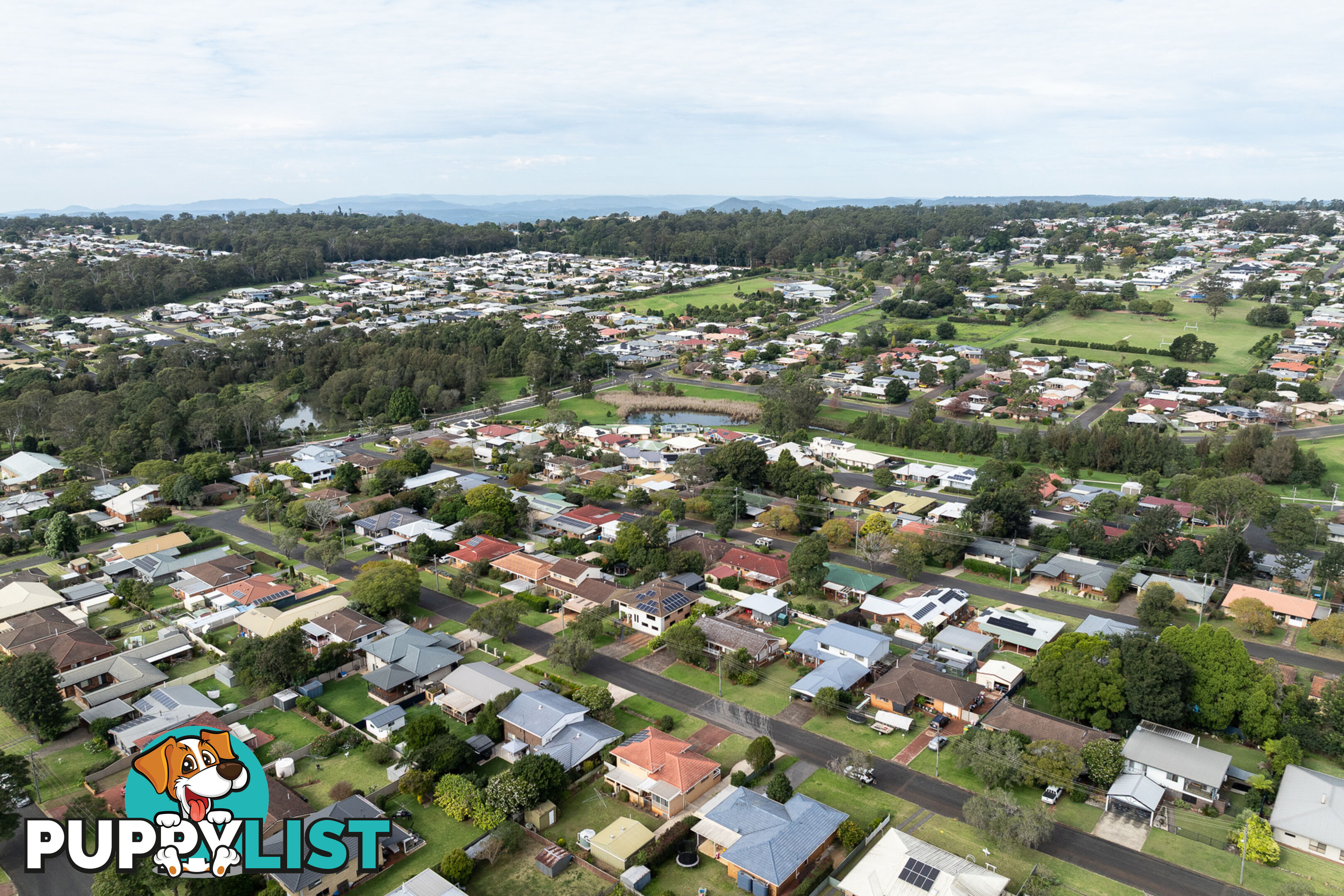 19 Sardon Street CENTENARY HEIGHTS QLD 4350