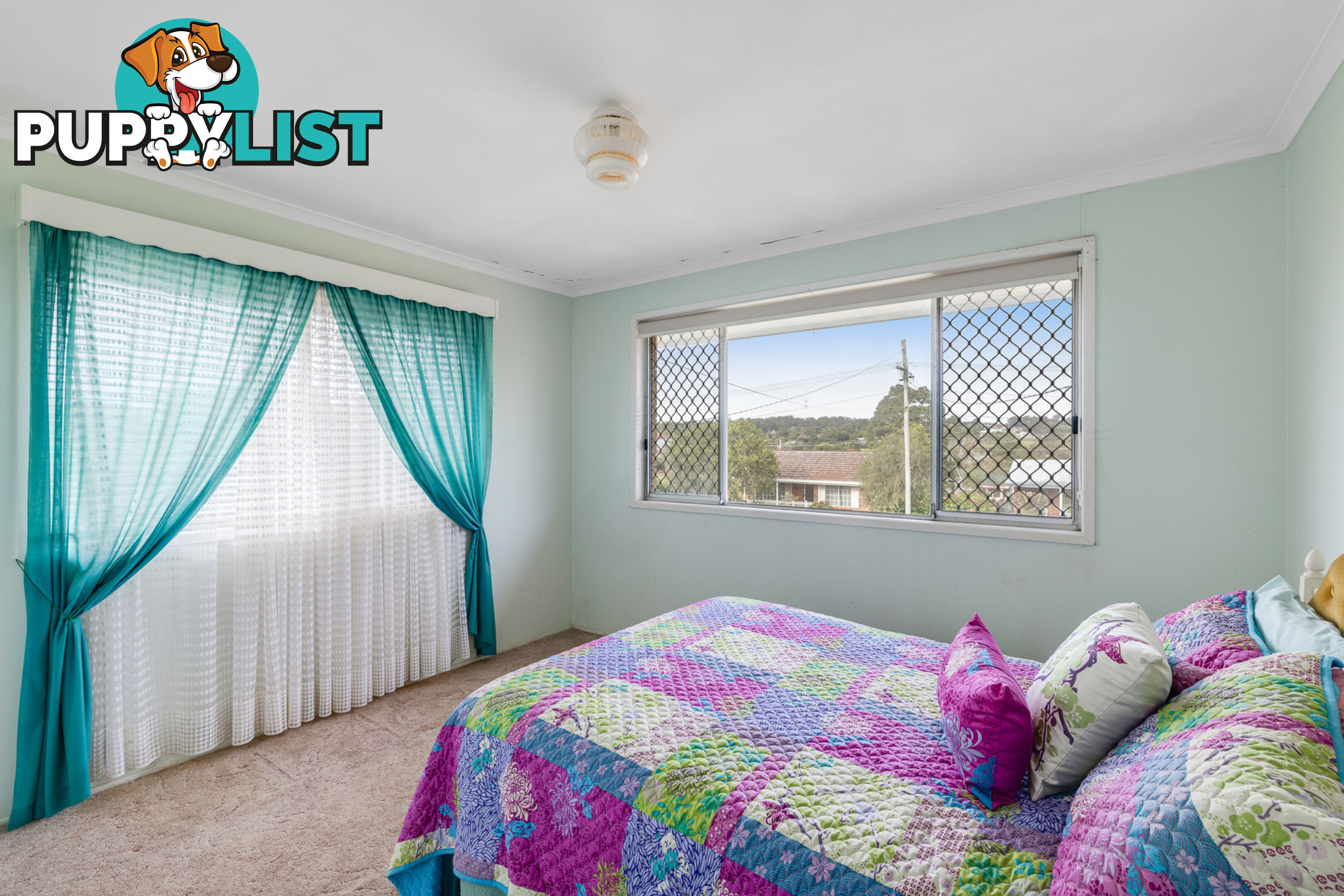 19 Sardon Street CENTENARY HEIGHTS QLD 4350