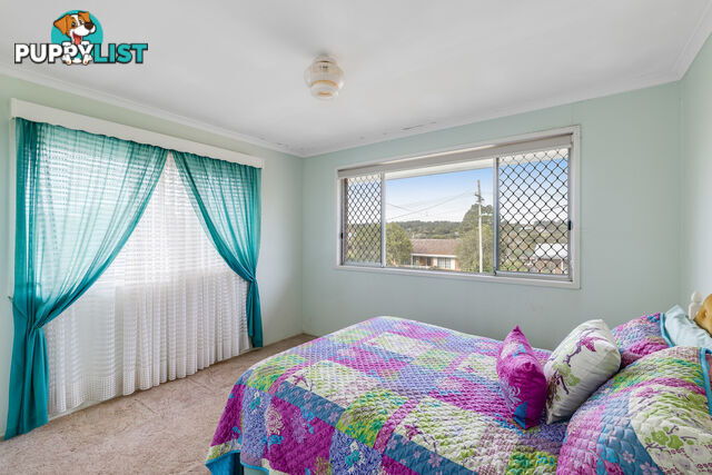 19 Sardon Street CENTENARY HEIGHTS QLD 4350