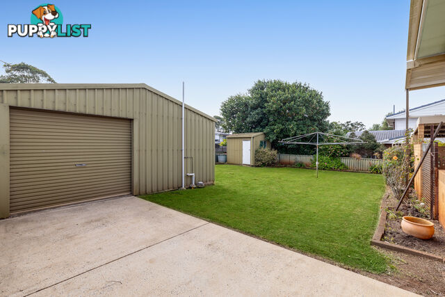 19 Sardon Street CENTENARY HEIGHTS QLD 4350