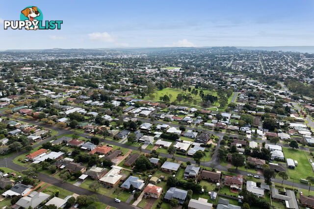 19 Sardon Street CENTENARY HEIGHTS QLD 4350