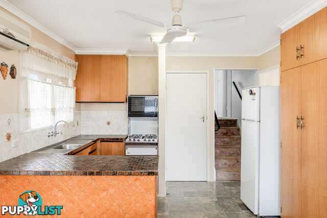 19 Sardon Street CENTENARY HEIGHTS QLD 4350