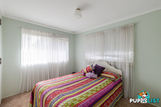 19 Sardon Street CENTENARY HEIGHTS QLD 4350