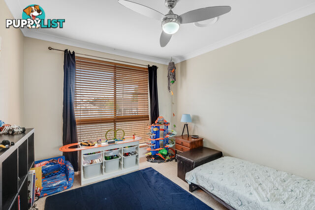 24 Edzill Street WILSONTON HEIGHTS QLD 4350