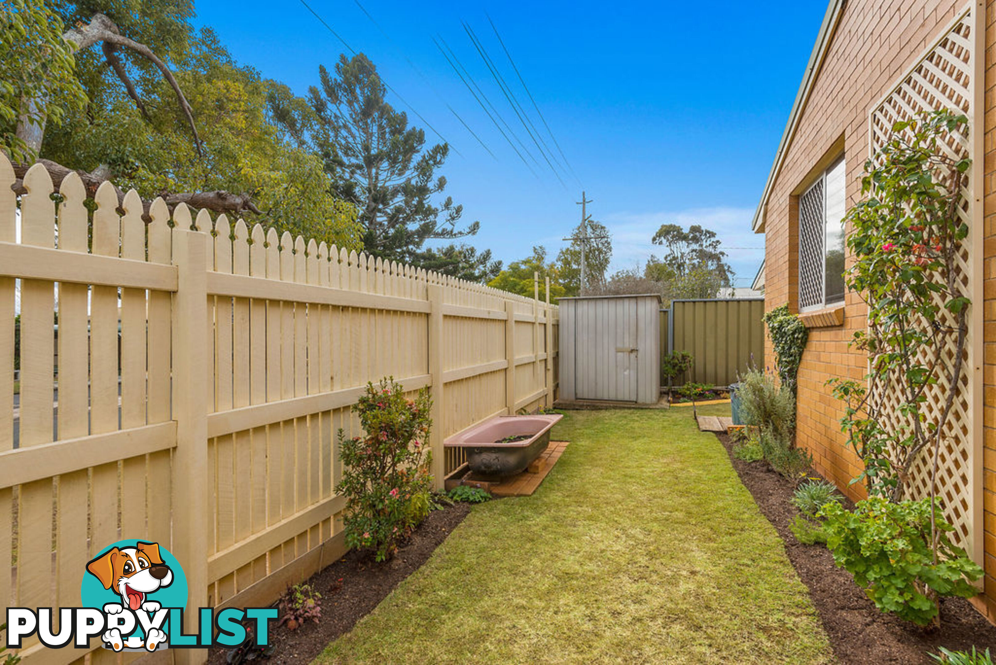 255 Alderley Street CENTENARY HEIGHTS QLD 4350