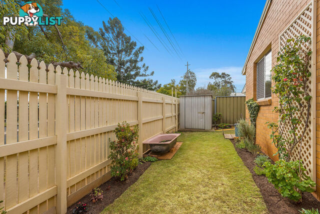 255 Alderley Street CENTENARY HEIGHTS QLD 4350